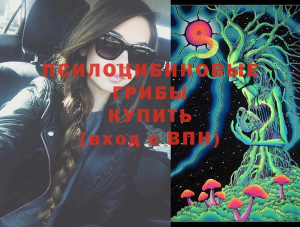 дживик Абинск