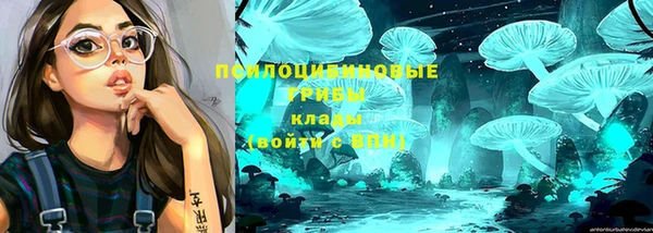 МДПВ Абаза