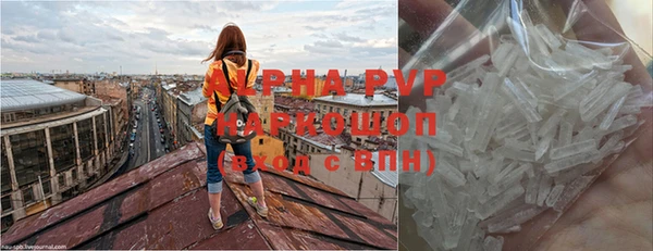 прущие грибы Белая Калитва