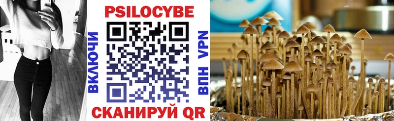 Галлюциногенные грибы мухоморы Николаевск-на-Амуре