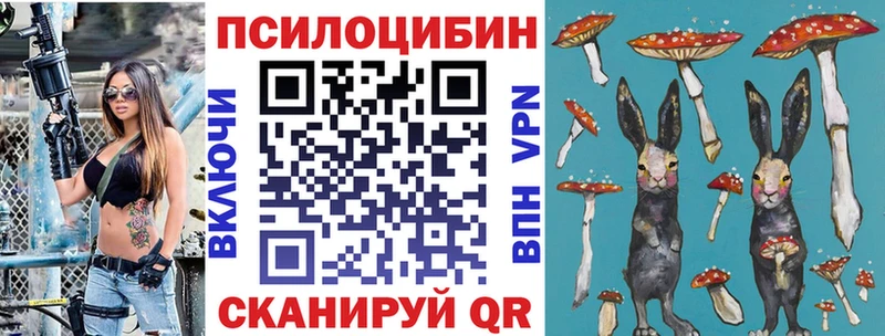 Галлюциногенные грибы прущие грибы  дарк нет формула  Николаевск-на-Амуре  ссылка на мегу ссылка 